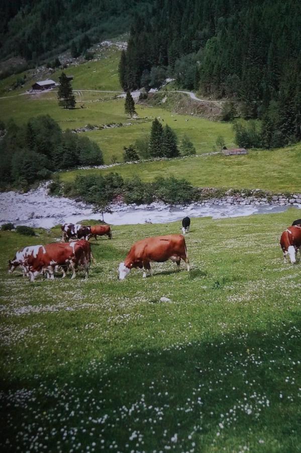 Apartamento Krandlhof Zell am Ziller